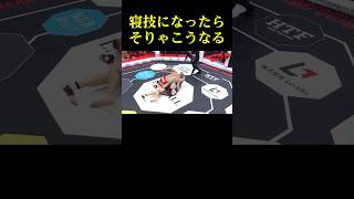 Sakkkiを寝技で圧倒する白川陸斗