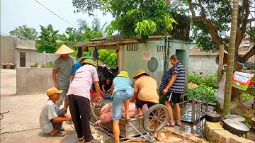 TOÀN CẢNH LÀM CỖ QUÊ THÁI BÌNH ,MÓN ĂN TIẾT CANH LÒNG LỢN
