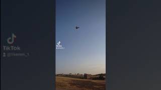 Malatya Guvercin Donlu Takla Sow Resimi