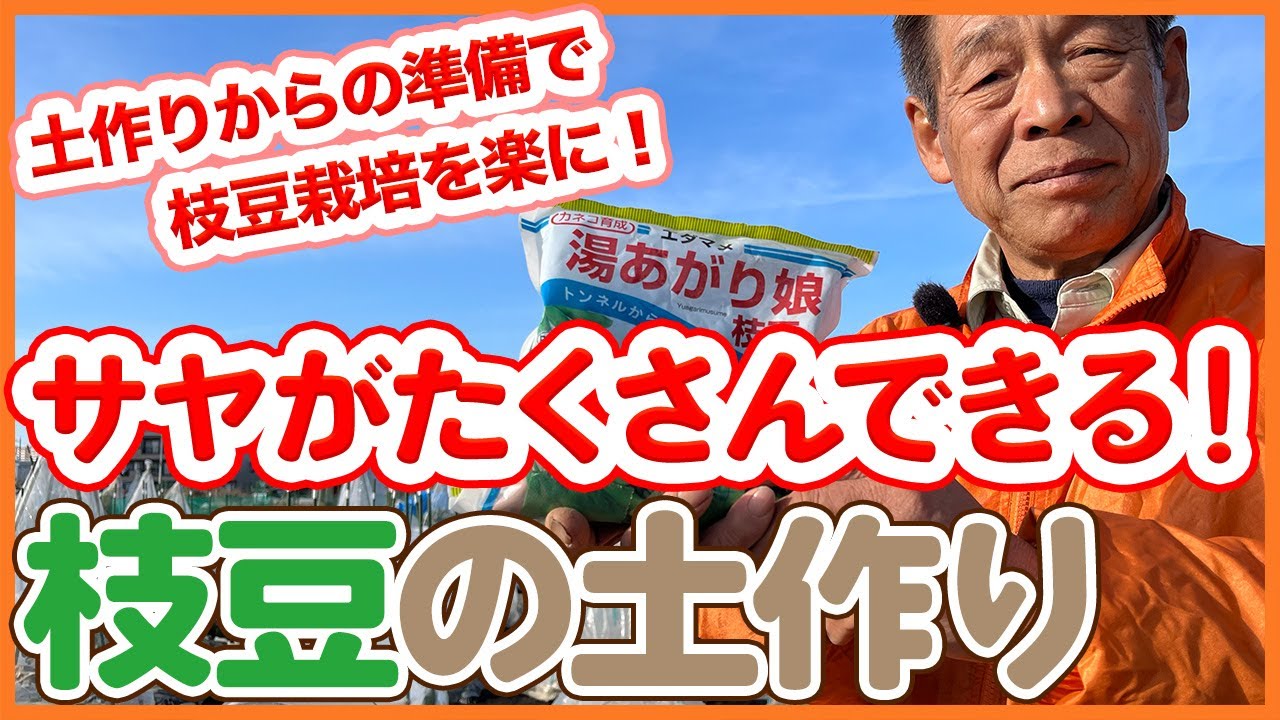 家庭菜園や農園の枝豆栽培で収穫量を増やす土作りのコツ！サヤを大きくたくさん増やすための枝豆の育て方を徹底解説！【農園ライフ】