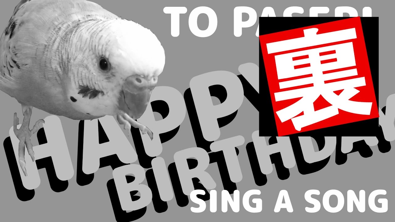 Happy Birthday Song 
