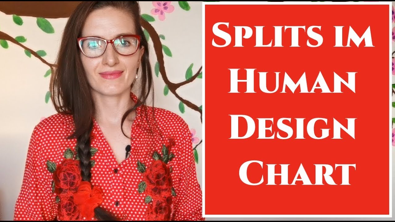 split definition human design
