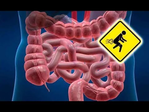 Como eliminar bacterias malas del intestino