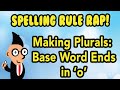 Rules for Words Ending in 'O'