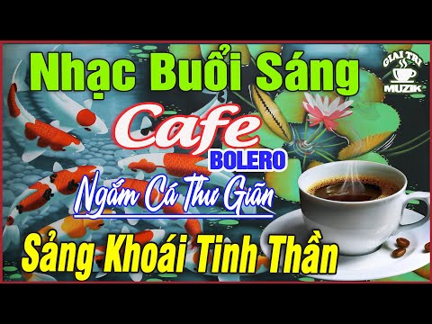 Nhạc không Lời Buổi Sáng Ngắm Cá Thư Giãn ➤Hòa Tấu Rumba Guitar Cafe Buổi Sáng , Nhạc Phòng Trà #205