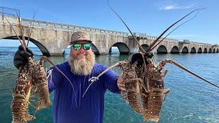 Florida Keys Bridge Diving | Crab Stuffed Lobster