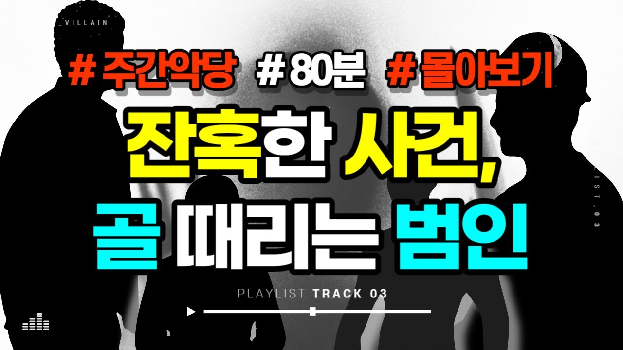 【80분 몰아보기】 돌+I 올림픽 내보내고 싶은 황당한 범인 모음집