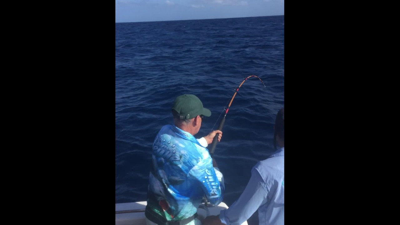 SUNSHINE COAST FISHING CHARTERS YouTube