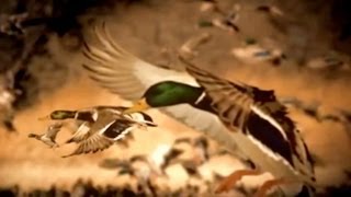 Mossy Oak GameKeepers screenshot 5
