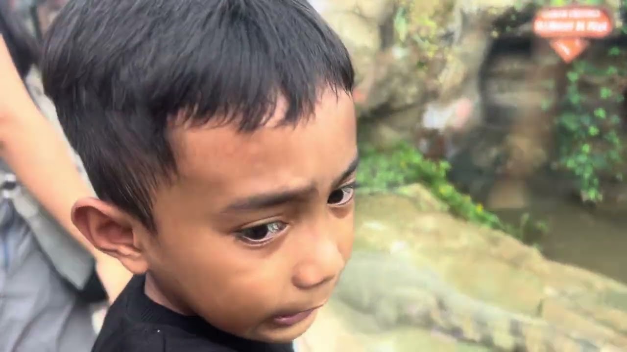 Keseruan di @CimoryDairyland 