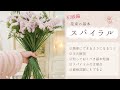 【花束の基本】スパイラルの方法 簡単に分かりやすくポイント解説#1