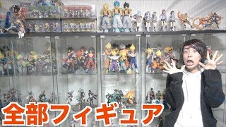 【オタク部屋】フィギュアの量がやばすぎる家のルームツアー!【メジロイドハウス】