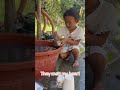 The kids of Alimanguan 🤎🙌🏻 #viral #travel #trending #viral #fyp