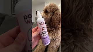 Doodle Detangler Revolutionizes Dog Grooming | Say Goodbye to Matted Fur