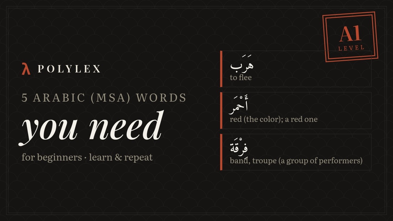 5 Arabic (MSA) words you need (A1) #shorts