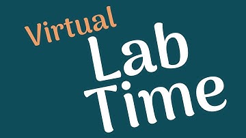 LabTime: Make a Bristlebot Robot!