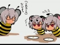 NYN蜂 のライブ ストリーム