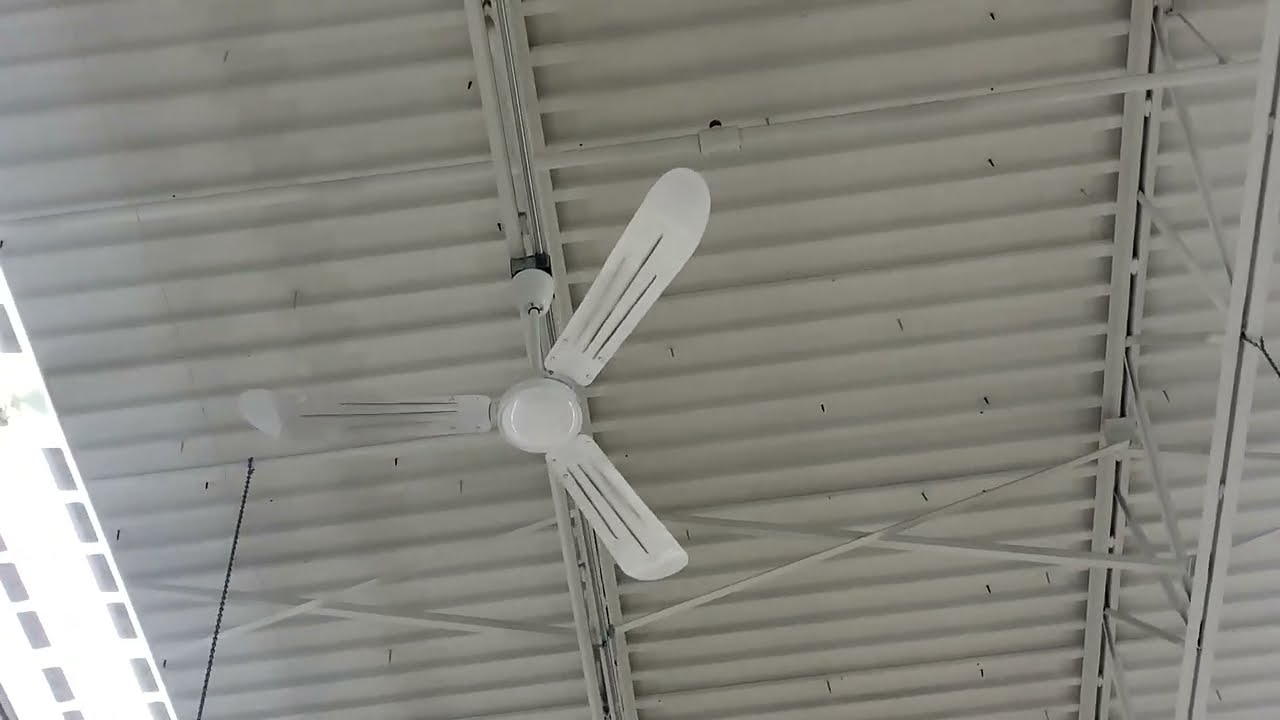 Canarm CP56 Industrial Ceiling Fan 3/4