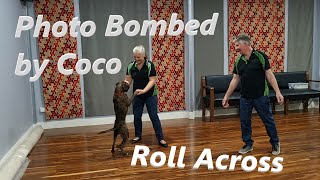 Roll Across Learn another Intermediate Rock & Roll move. Man &  woman can both roll together Wealth