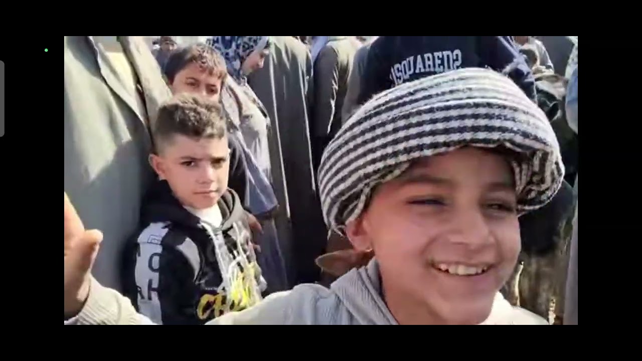 اسعار عجول وعجلات البقر اللباني والبقر الآنية من داخل سوق كفر الشيخ العمومي رمضان كريم فضلا الاشتراك