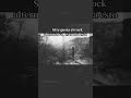 Linkinbio#musica #rock #altrock #alternativerock #rockalternativo #alternativo #alternative #darkpop