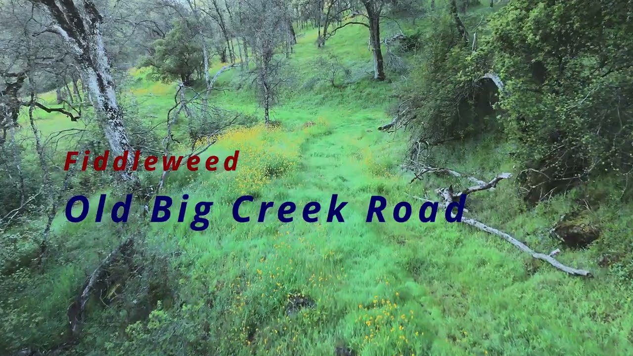 Old Big Creek Road 4K HDR