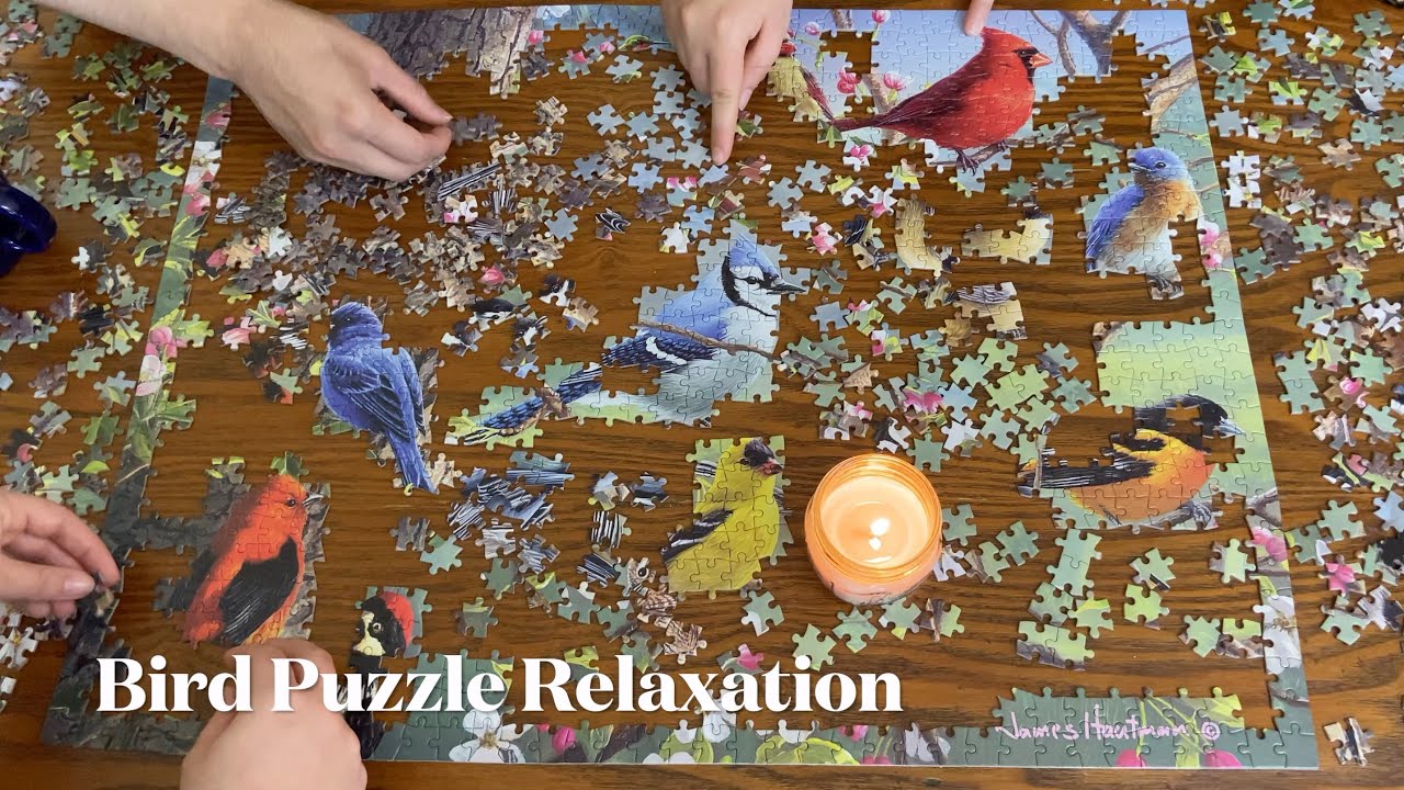 Therapeutic Puzzle Progress Very Satisfying! (Part 2) YouTube