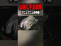 ※山奥で見つけたヤバい袋🔥 #怖い動画 #恐怖 #ラストナイトtv #不法投棄 #shorts