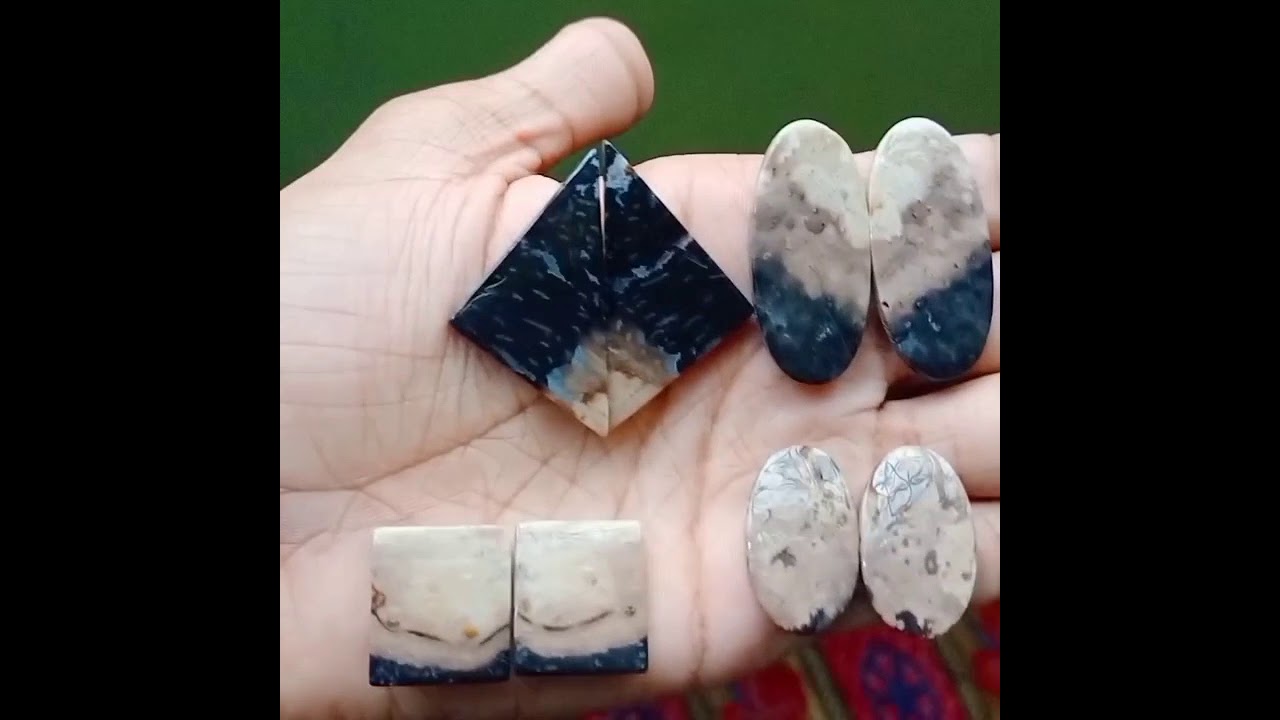 palm Root / pursuitgemshub/exclusive gemstone