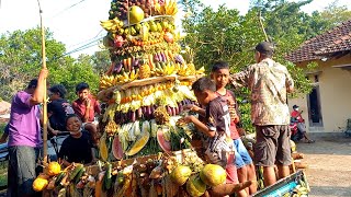 KIRAB BUDAYA SEDEKAH BUMI DESA GUWO KABUPATEN PATI 2024
