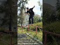 Max Habanec - Kink Rail 50-50