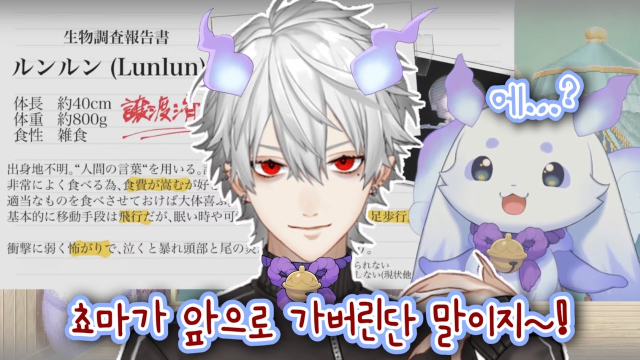 【룬룬/쿠즈하】 쿠즈하가 밀고 있는 룬쵸마 유행어와 불안한 눈빛으로 바라보는 룬쵸마 【니지산지/쿠로난 클립】