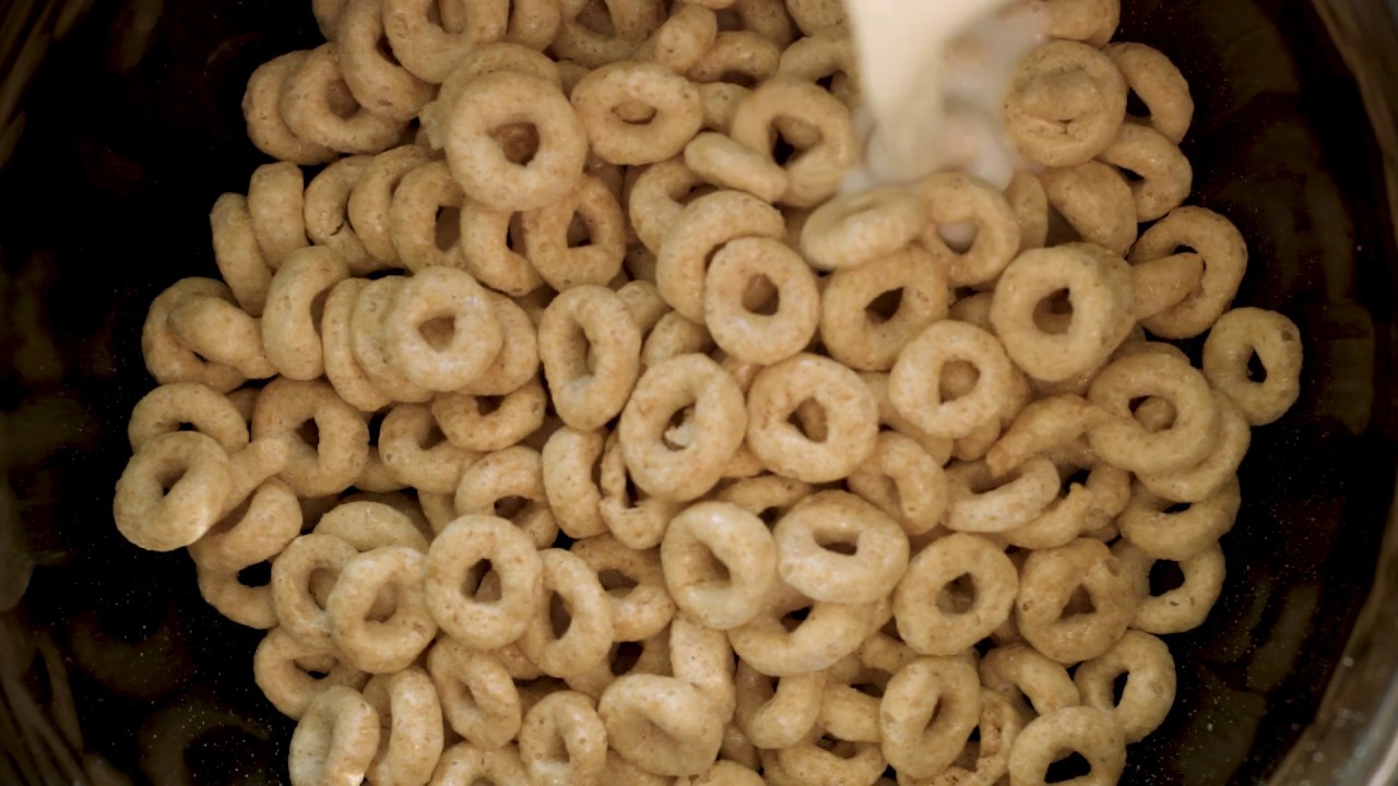 DocumenDairy - YouTube