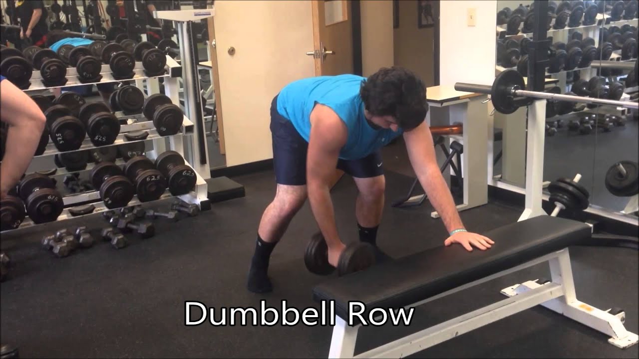 Intern Rows Affected Masco Internship- Dumbbell Row - YouTube