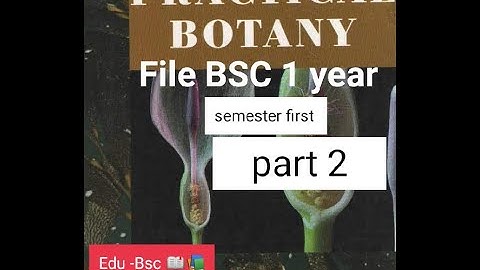 Botany practical file BSC 1 year semester first #Part 2 # Phychology study# Botany practical