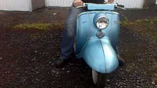 Tigress 250.mp4