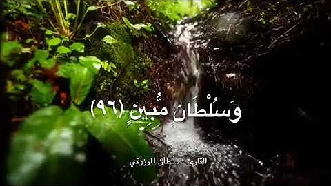 عشائية رائعة من سورة هود ، للقارئ : سلطان المرزوقي