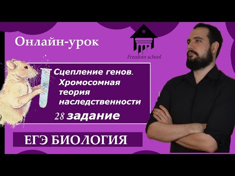 Сцепление генов, Хромосомная теория.  Задачи по генетике. 28 задание ЕГЭ. |ЕГЭ БИОЛОГИЯ|Freedom|