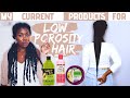 PRODUCTS AND REGIMEN FOR MY FINE LOW POROSITY NATURAL HAIR | Obaa Yaa Jones