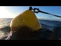 Abrolhos Islands,  Rootail mooring - Life Over Longevity episode 07