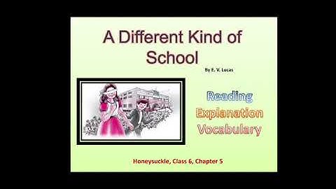 A Different Kind of School Class 6 Chapter 5 Explanation in English