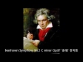 Ludwig van Beethoven 교향곡 5번 '운명' 전악장