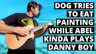 Dog tries to eat painting while Abel kinda plays Danny Boy (360 Music Video)