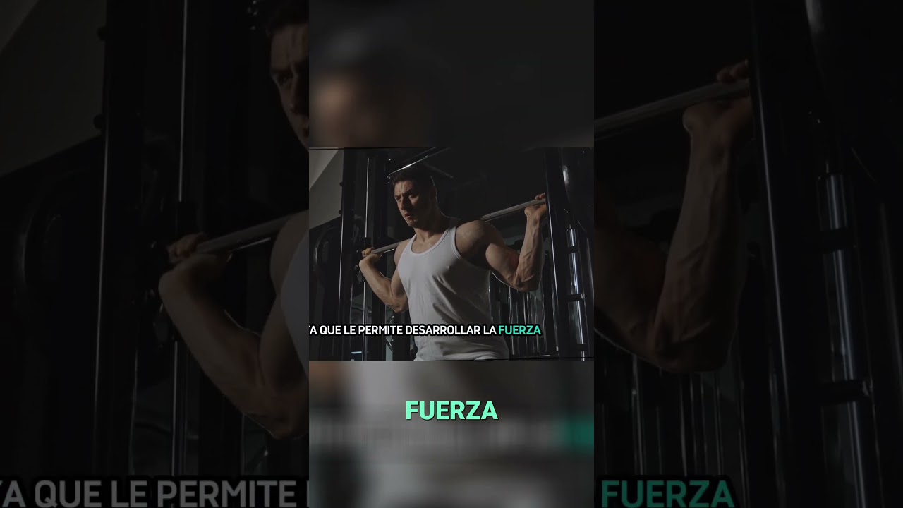 ¡Increíble! La intensa rutina de entrenamiento de Yavin para dominar el octágono