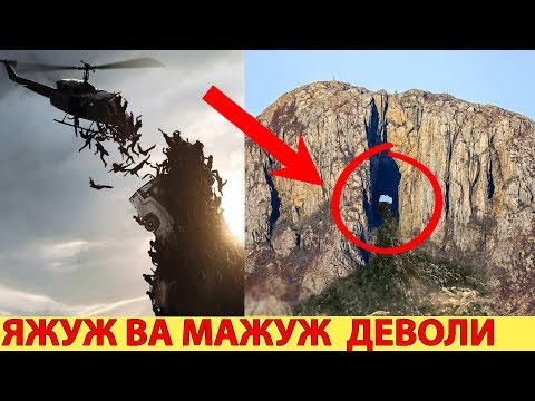 Video: Коёндор клом жейби?