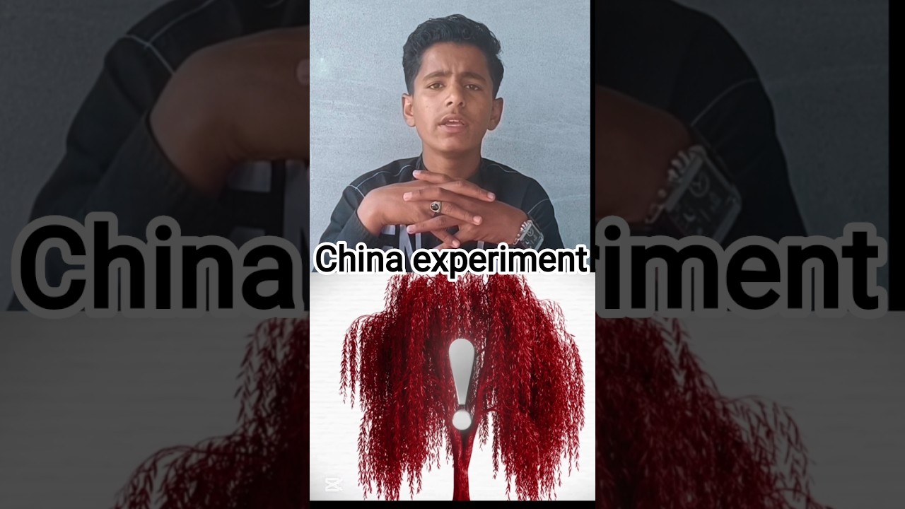 “China vs Desert: The Hidden Plan Behind Releasing Rabbits 🏜️🐇”