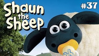 Helping Hound | Shaun the Sheep Season 1 | Full Episode