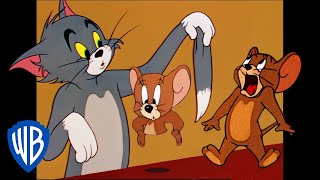 Tom y Jerry en Latino | Los bromistas originales | WB Kids
