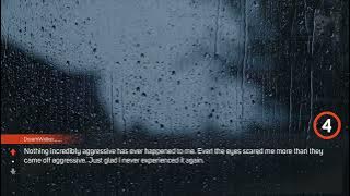 People tell the scariest thing they've ever seen that no one else believes them about