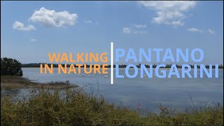 Pantano Longarini - Fenicotteri